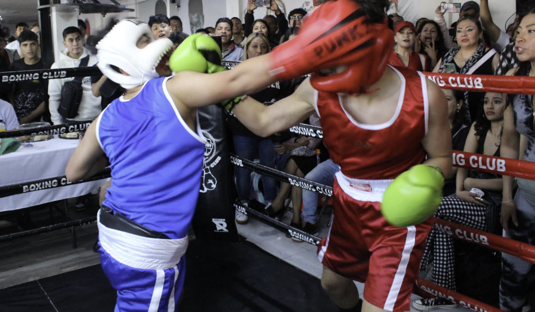 Combate juvenil